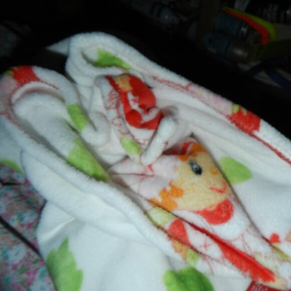Strawberry Shortcake 🍓🍰Plush Throw/Blanket 2025🍰 50" X 60"🆕⌚📦🏃💨🚚 - Picture 9 of 16